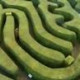 En föränderlig labyrint