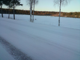 Vilken majestätisk syn.