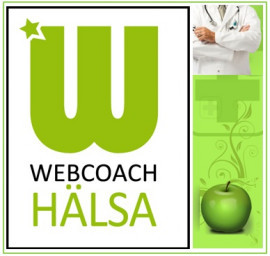 www.webcoach.se