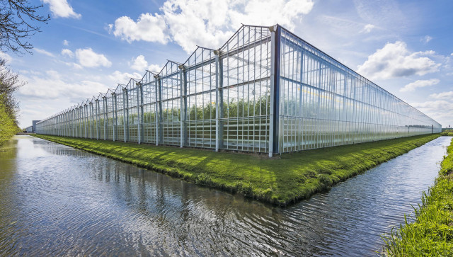 Nordens största växthus kan byggas i Gävle