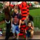 Tiger slår kille på Disney Land